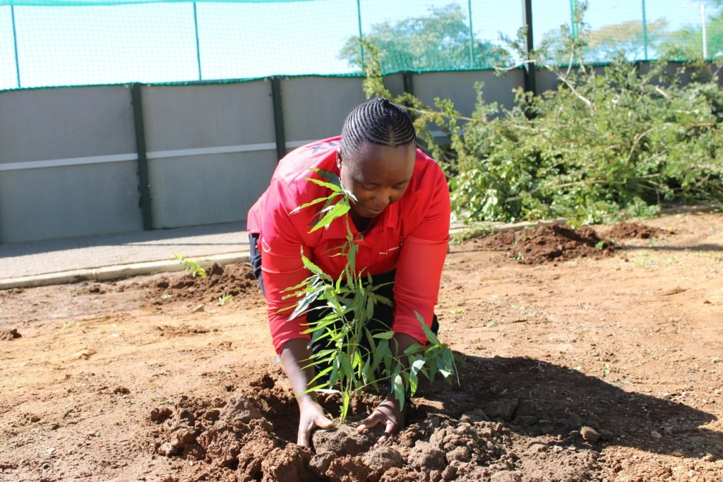 Sustainable Bond Listing Boost Botswana’s Ranking in the Absa Africa Financial Markets Index